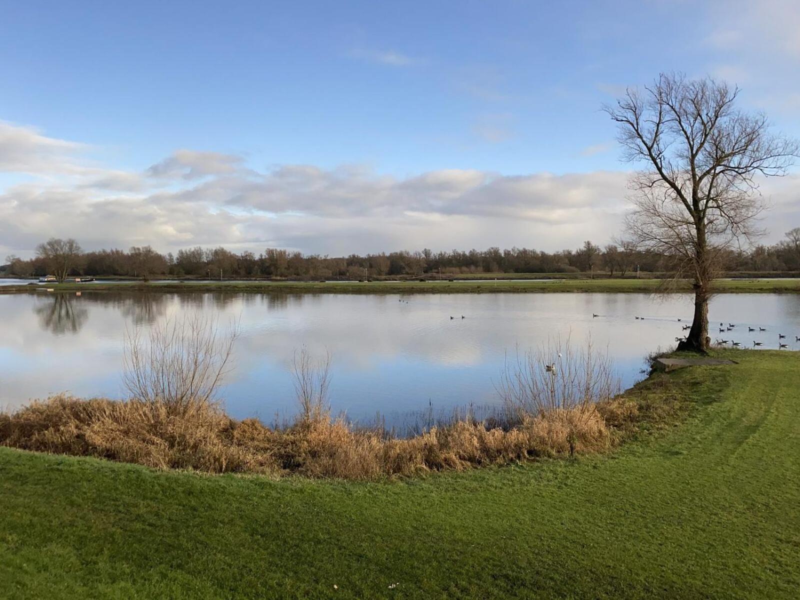 Recreatiepark En Jachthaven De Scherpenhof Terwolde Номер фото